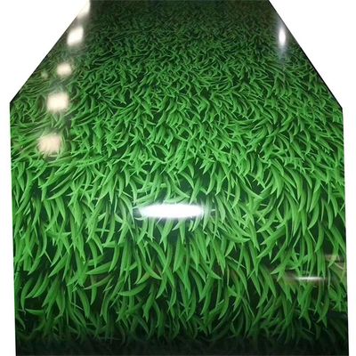 comprare Bobina d'acciaio di ASTM A755M Ppgi Prepainted Gi popolare poco modello dell'erba fabbricazione online