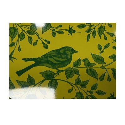 La struttura regolare del lustrino ha ricoperto la bobina d'acciaio di pittura di PE/SMP/HDP/PVDF